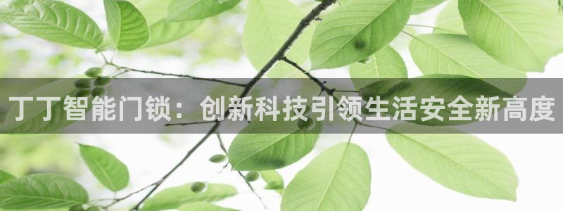 金年会.cc