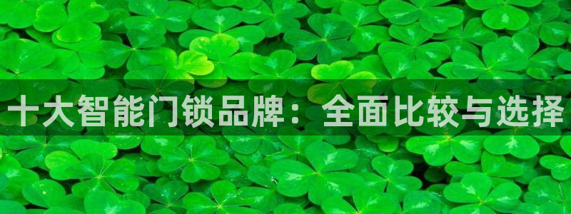 金年会体育app官网