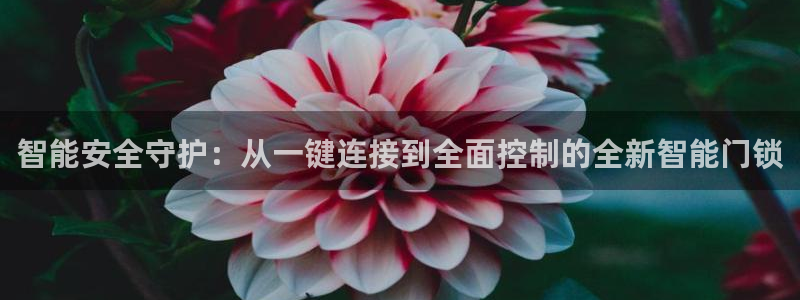 金年会体育平台在线登录：智能安全守护：从一键连接到全面控制的