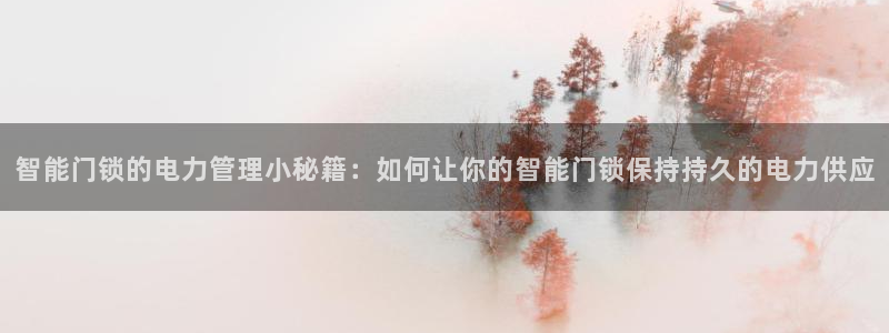 金年会手机登录：智能门锁的电力管理小秘籍：如何让你的智能门锁