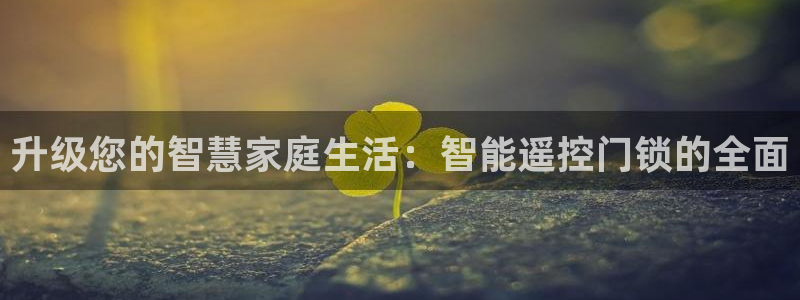 金年会VIP