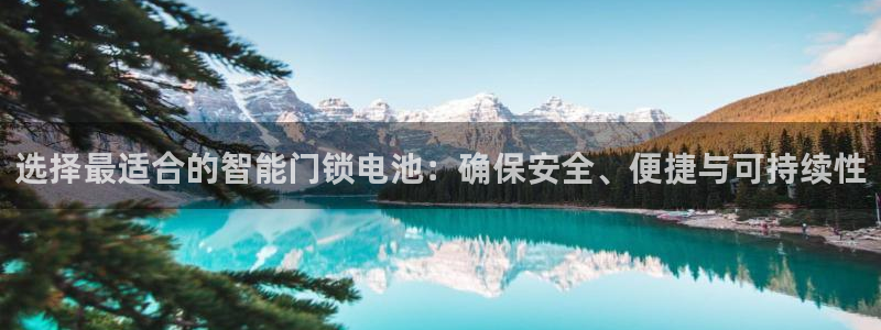 金年会中国金年会登录：选择最适合的智能门锁电池：确保安全、便