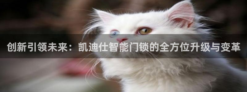 金年会ios下载