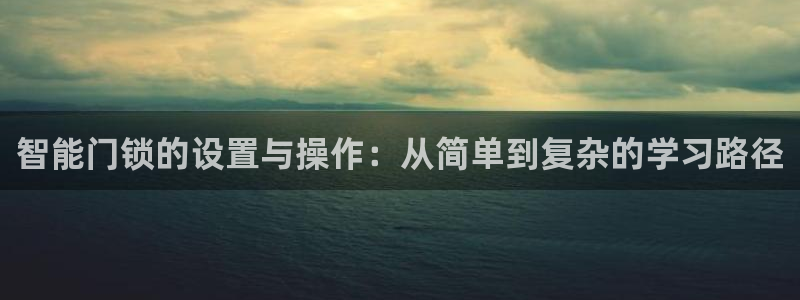 金年会官方网：智能门锁的设置与操作：从简单到复杂的学习路径