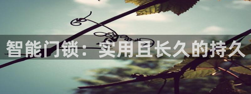 金年会最新登录网站：智能门锁：实用且长久的持久