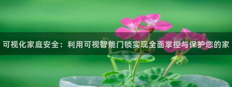 金年会体育官网在线：可视化家庭安全：利用可视智能门锁实现全面