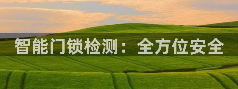 金年会网登录平台入口：智能门锁检测：全方位安全