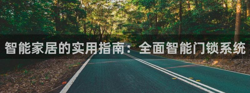 金年会com：智能家居的实用指南：全面智能门锁系统