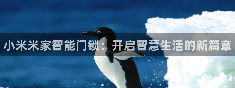 金年会官方网站入口：小米米家智能门锁：开启智慧生活的新篇章