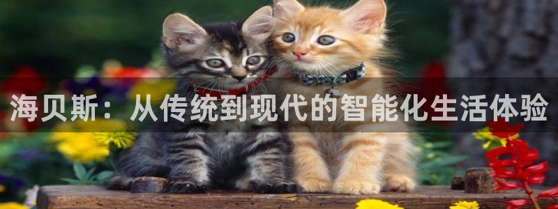 金年会吧：海贝斯：从传统到现代的智能化生活体验