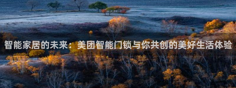 金哥年会：智能家居的未来：美团智能门锁与你共创的美好生活体验