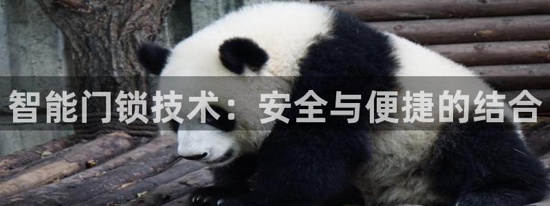 金年会平台游戏：智能门锁技术：安全与便捷的结合