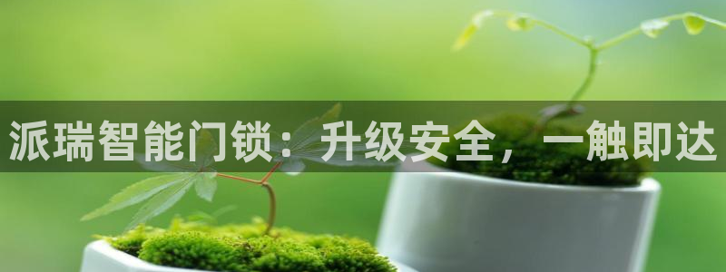 金诺利年会：派瑞智能门锁：升级安全，一触即达