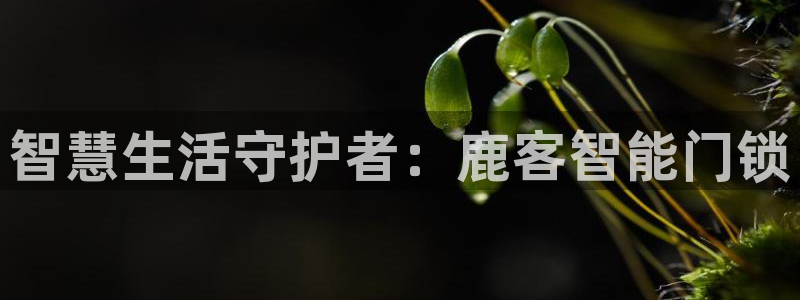 金年会网官网新版：智慧生活守护者：鹿客智能门锁