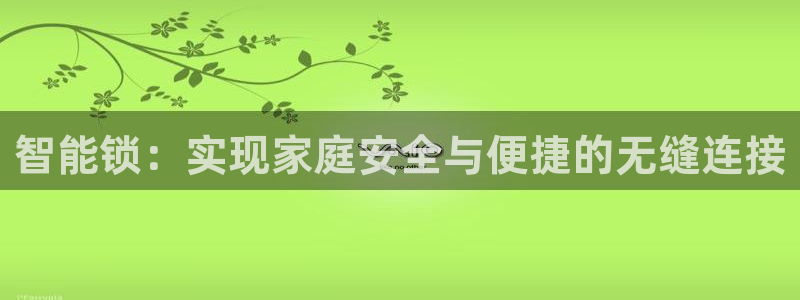 金年会娱乐提现：智能锁：实现家庭安全与便捷的无缝连接