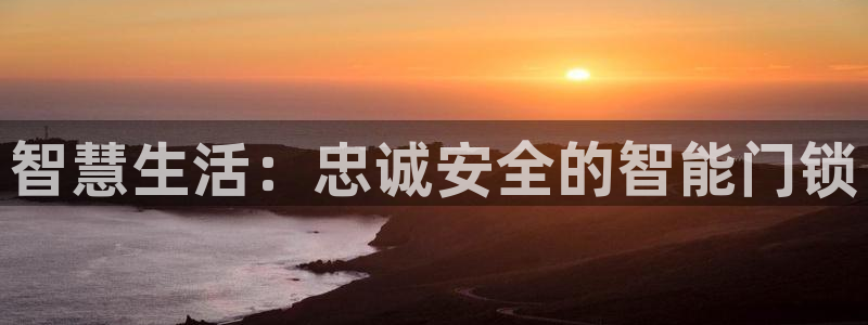 金年会在线下载：智慧生活：忠诚安全的智能门锁