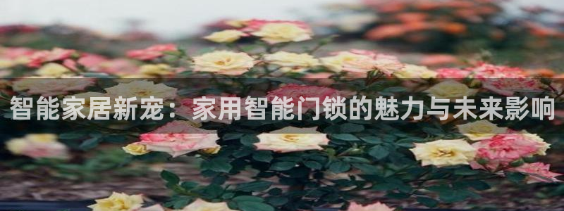金年会官方客服电话：智能家居新宠：家用智能门锁的魅力与未来影