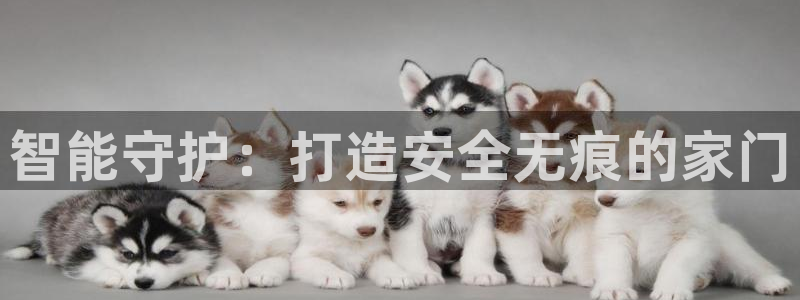 金年会品牌：智能守护：打造安全无痕的家门