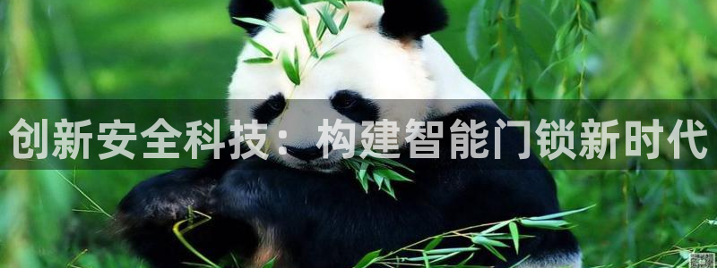 金年会网址：创新安全科技：构建智能门锁新时代