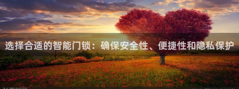 金年会注册：选择合适的智能门锁：确保安全性、便捷性和隐私保护