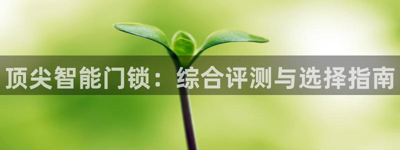 金年会金字招牌在线入口：顶尖智能门锁：综合评测与选择指南