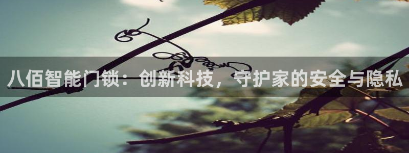 金年会体育官方网站入口：八佰智能门锁：创新科技，守护家的安全