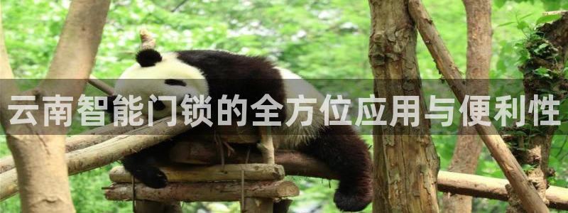 jinnianhui 金年会：云南智能门锁的全方位应用与便利