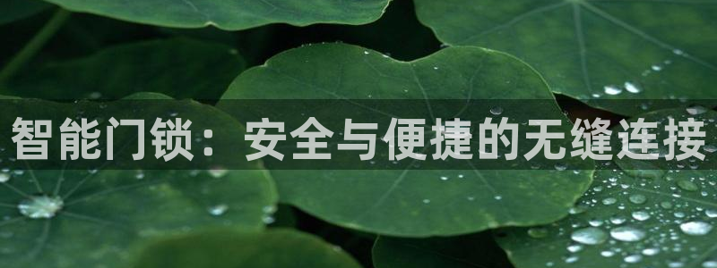 金年会手机官网：智能门锁：安全与便捷的无缝连接