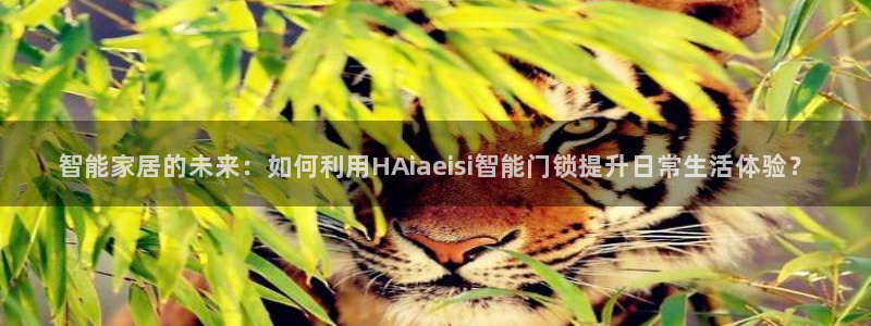 金年会这个平台：智能家居的未来：如何利用HAiaeisi智能