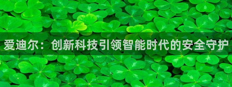 金年会这个平台：爱迪尔：创新科技引领智能时代的安全守护