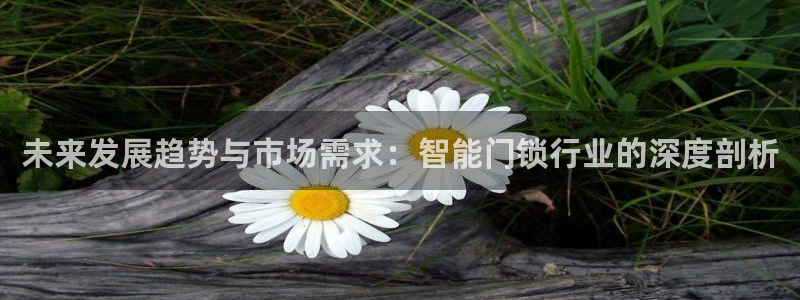 金年会APP安装下载：未来发展趋势与市场需求：智能门锁行业的