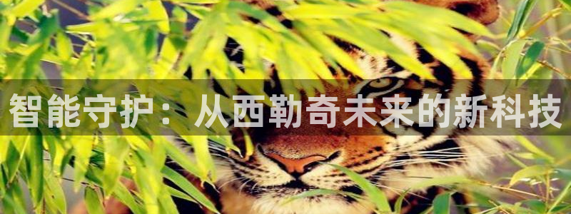 金年会网址：智能守护：从西勒奇未来的新科技
