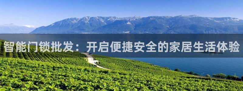 金年会手机版：智能门锁批发：开启便捷安全的家居生活体验