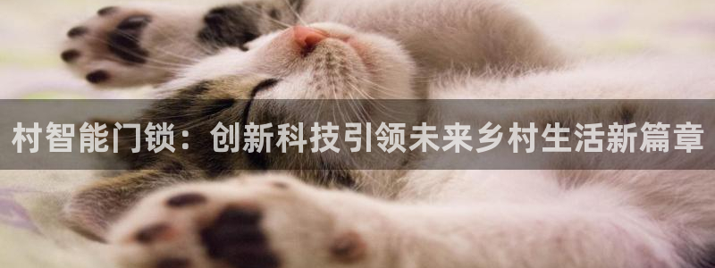 金年会网官网新版：村智能门锁：创新科技引领未来乡村生活新篇章