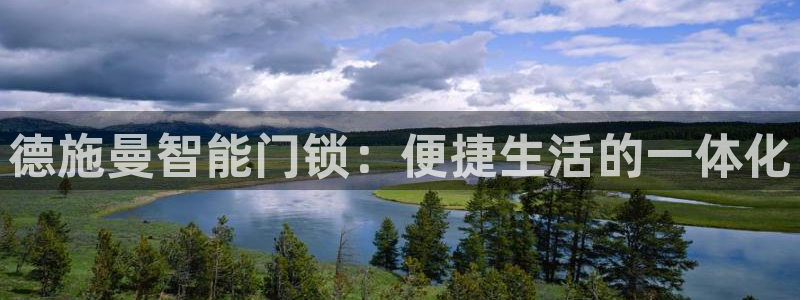金年会网官网新版：德施曼智能门锁：便捷生活的一体化