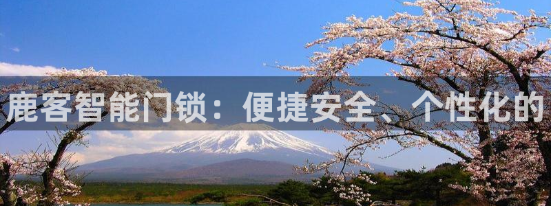 金年会jinnian：鹿客智能门锁：便捷安全、个性化的