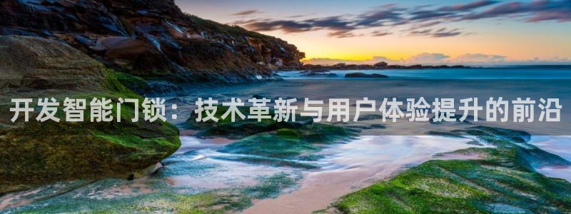金年会中国金年会登录：开发智能门锁：技术革新与用户体验提升的