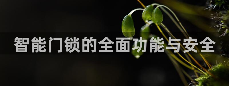 金年会拼音：智能门锁的全面功能与安全