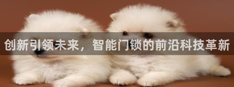金年会金字招牌下载：创新引领未来，智能门锁的前沿科技革新