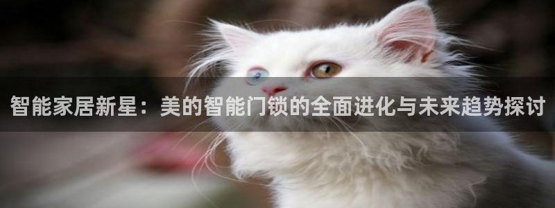 世纪金源年会：智能家居新星：美的智能门锁的全面进化与未来趋势