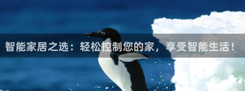 今年会金年会：智能家居之选：轻松控制您的家，享受智能生活！