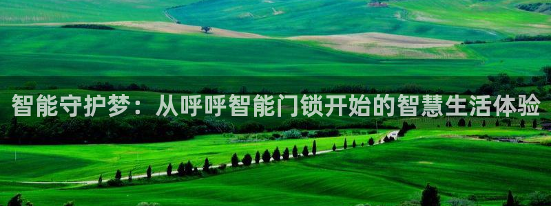 金年会菲律宾：智能守护梦：从呼呼智能门锁开始的智慧生活体验