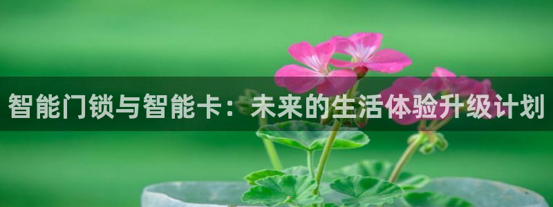 宝金年会：智能门锁与智能卡：未来的生活体验升级计划