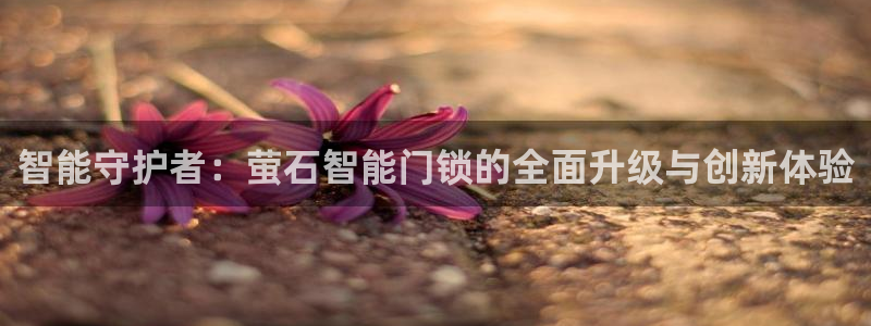 金年会现金网：智能守护者：萤石智能门锁的全面升级与创新体验