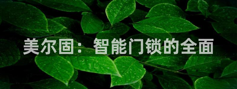 金年会体育在线入口：美尔固：智能门锁的全面