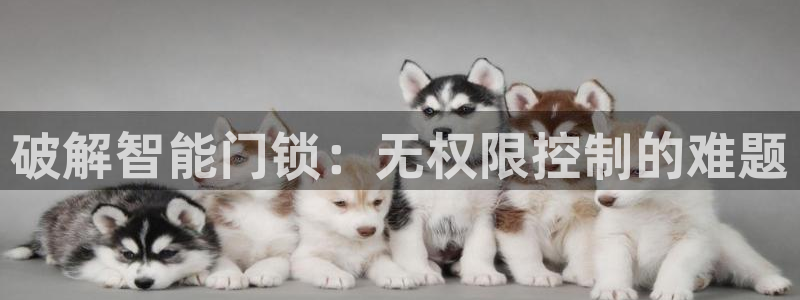 金年会现金网：破解智能门锁：无权限控制的难题