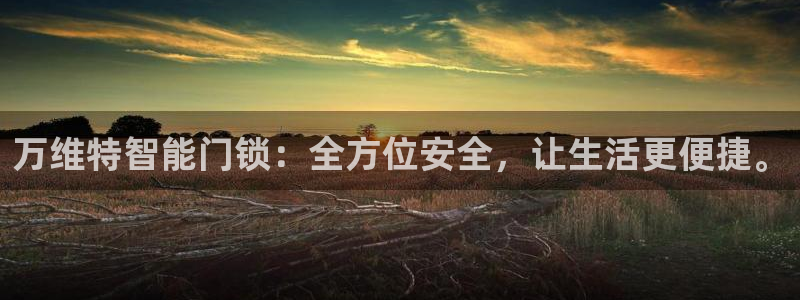 6766金年会：万维特智能门锁：全方位安全，让生活更便捷。