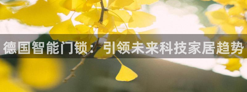 金年会app：德国智能门锁：引领未来科技家居趋势