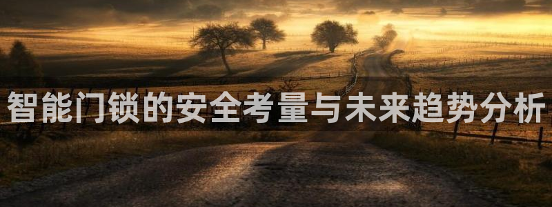 金靖年会：智能门锁的安全考量与未来趋势分析