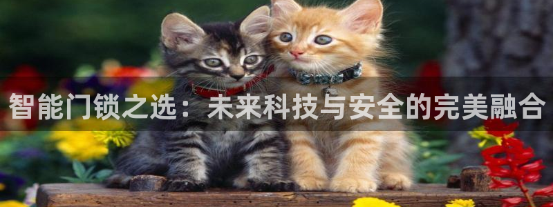 金年会体育官网：智能门锁之选：未来科技与安全的完美融合